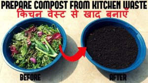 Make Compost At Home
