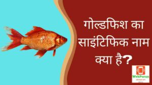 Goldfish ka Scientific Naam Kya hai