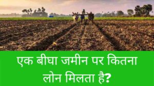 Ek Bigha Zameen Par Kitna Loan Milta ha