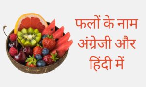 Fruits Name in Hindi and English