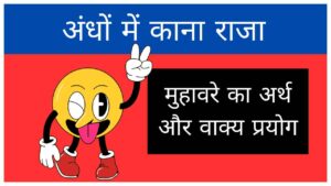 andho-mein-kana-raja-muhavare-ka-arth-aur-vakya-prayog