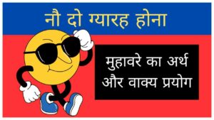 nau-do-gyarah-hona-muhavare-ka-arth-aur-vakya-prayog