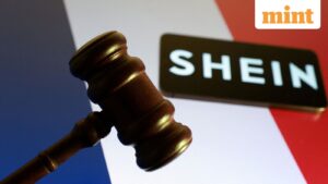 France moves to suspend Shein over sex dolls & weapons on day Paris store opens