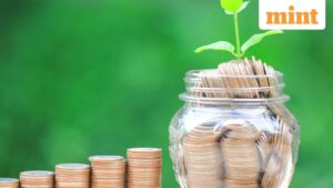 Personal loans interest rates in Nov 2025: These are the latest rates which lenders charge