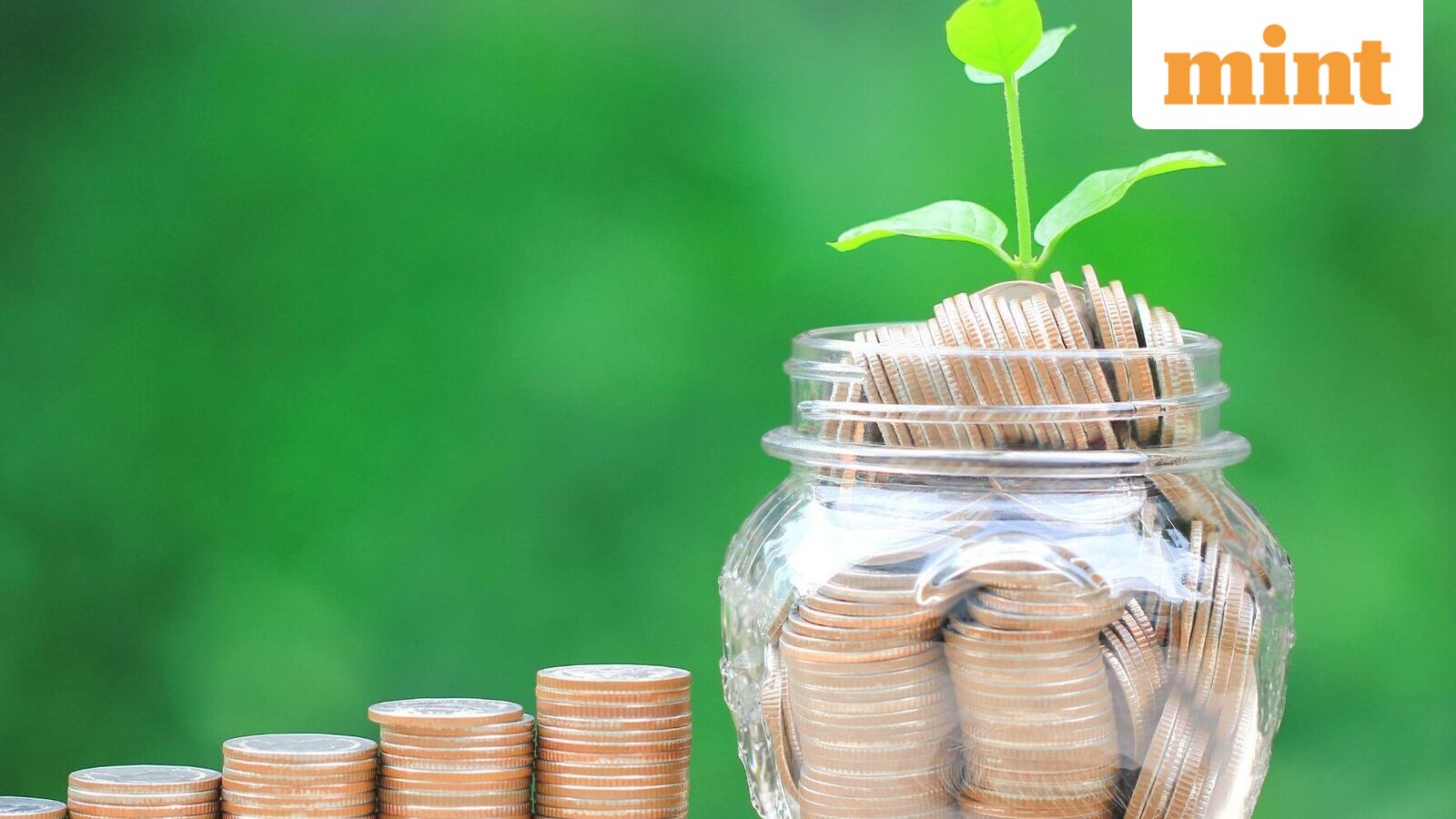 These 5 SBI cards in partnership with other banks offer a range of benefits. Check details here