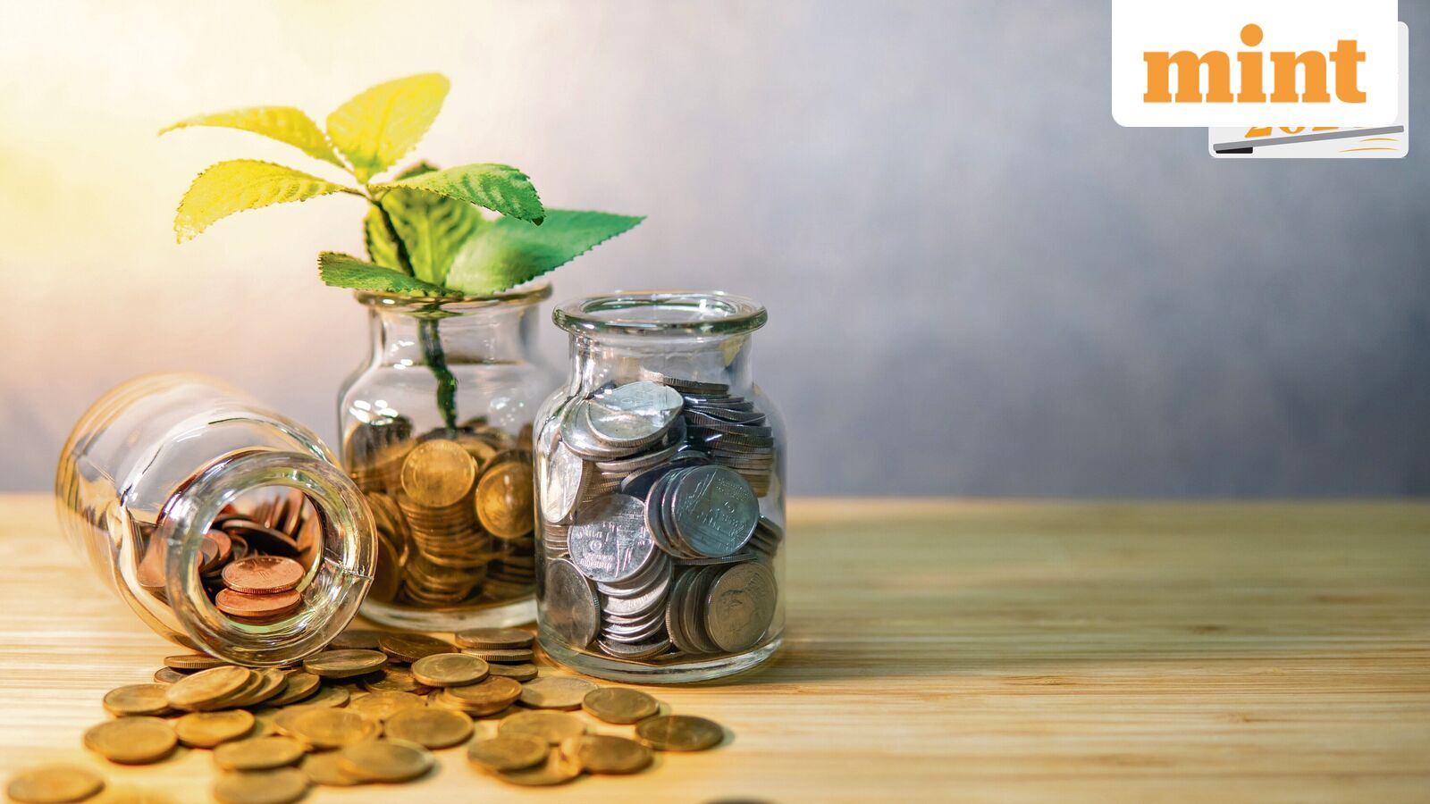 Big flames die fast: Lessons from 2025 for the investor in 2026