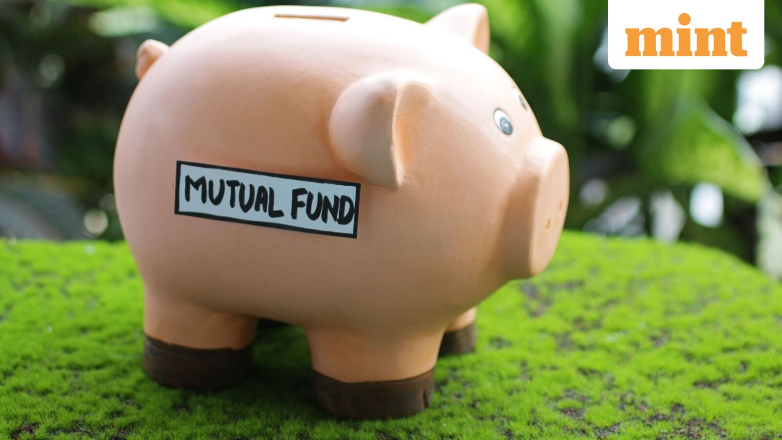 Which mutual fund types to buy for medium term goals Experts give advice
