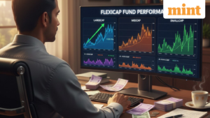 Flexi cap funds return to favour but do they truly deliver better diversification