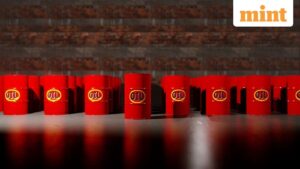 Parliamentary panel tells government to strengthen ties with oil nations