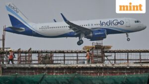 IndiGo stock may not soar on Sensex debut, but it will curb the crash, analysts say