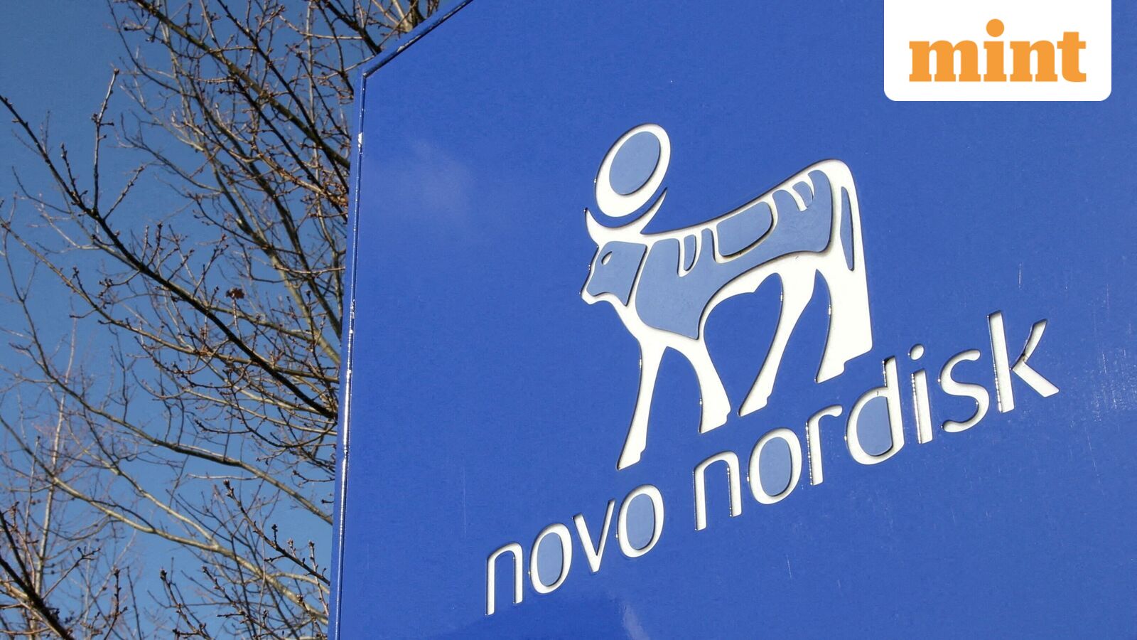 Delhi HC division bench refuses stay on Dr Reddy’s semaglutide exports