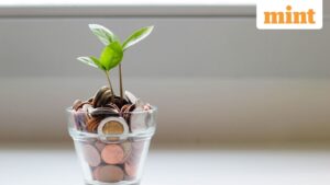 How to Rebalance Your Portfolio and Keep Your Investments on Track for Growth
