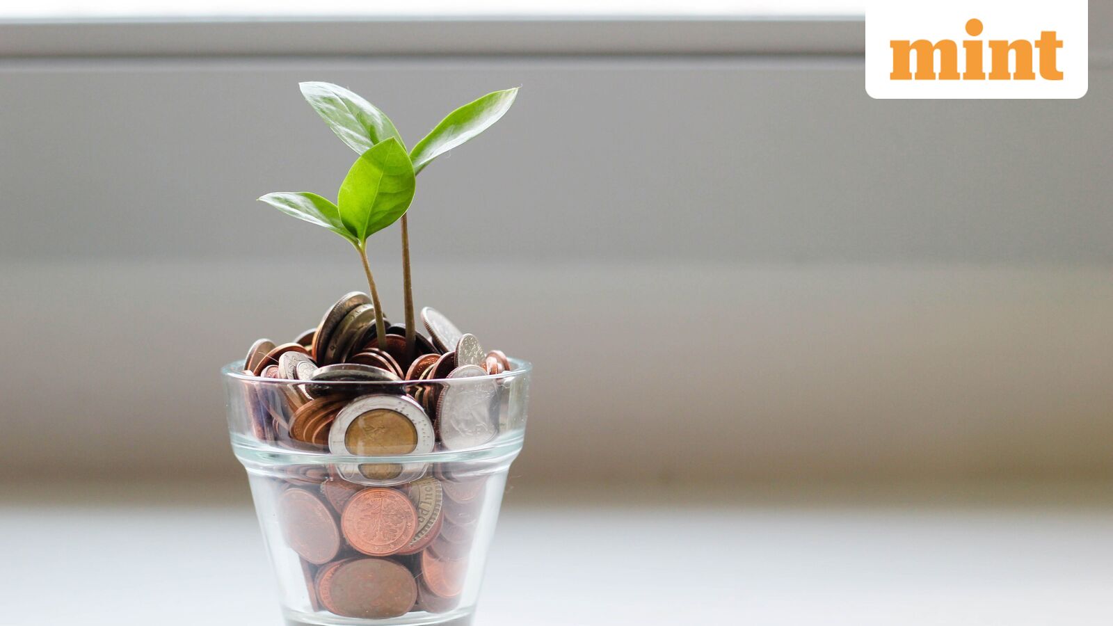 How to Rebalance Your Portfolio and Keep Your Investments on Track for Growth